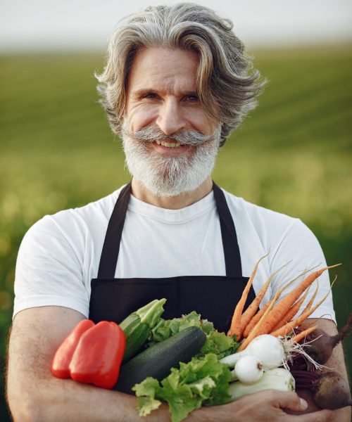 Close up of old farmer holding a basket of vegetables. The man is standing in the garden. Senior in a black apron.